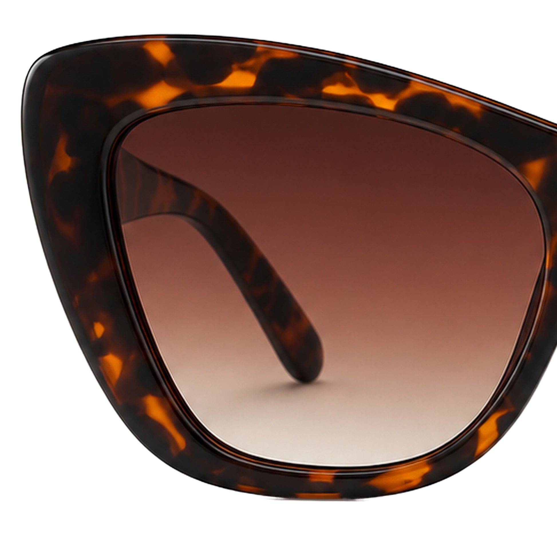 MCS Aria Cat-Eye — Tortoise Amber — detail